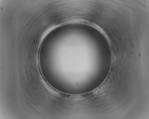 X0000074320811200609011536