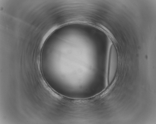 X0000074320812200609011536