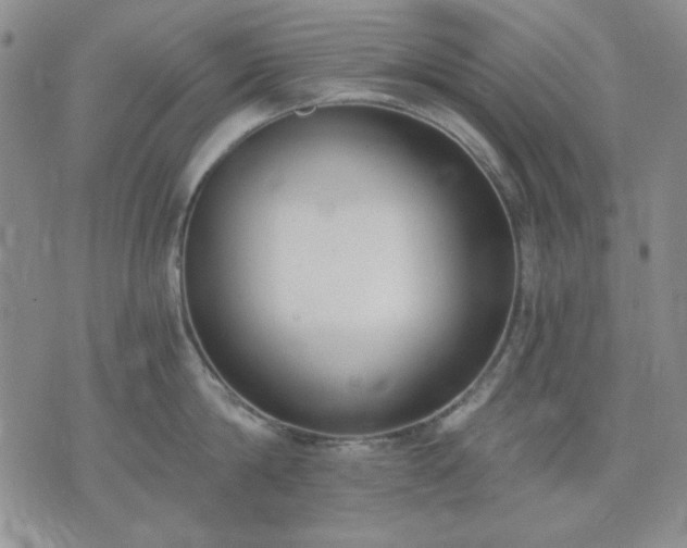 X0000074320814200609011536