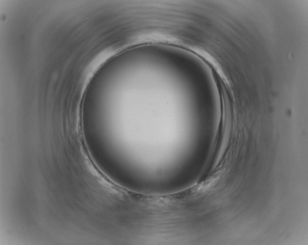 X0000074320815200609011536