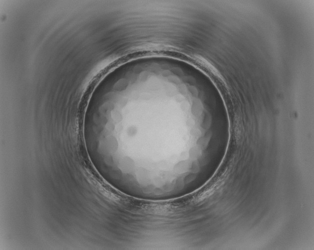 X0000074320831200609011535
