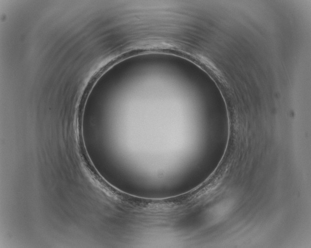 X0000074320840200609011535