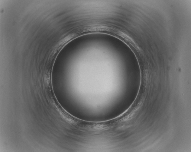 X0000074320841200609011535