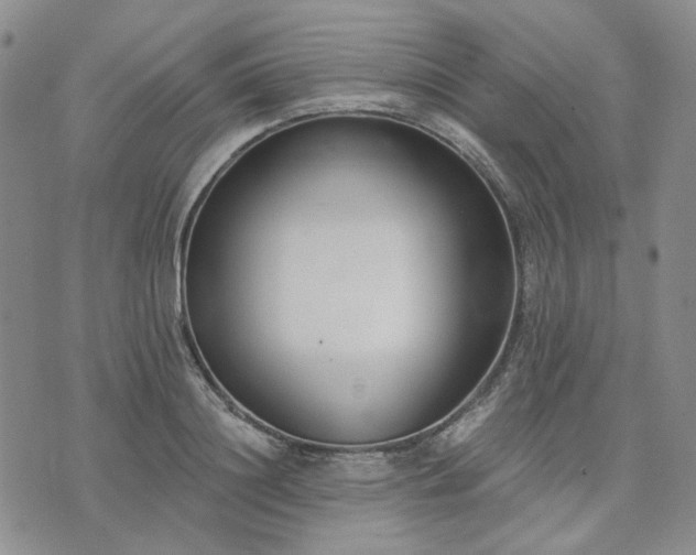 X0000074320844200609011535