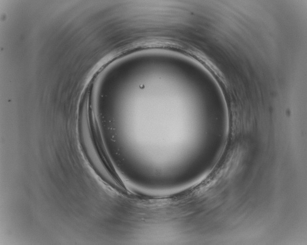 X0000074320853200609011536