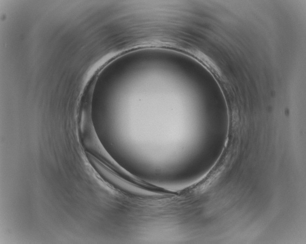 X0000074320854200609011536