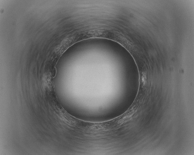 X0000074320867200609011535