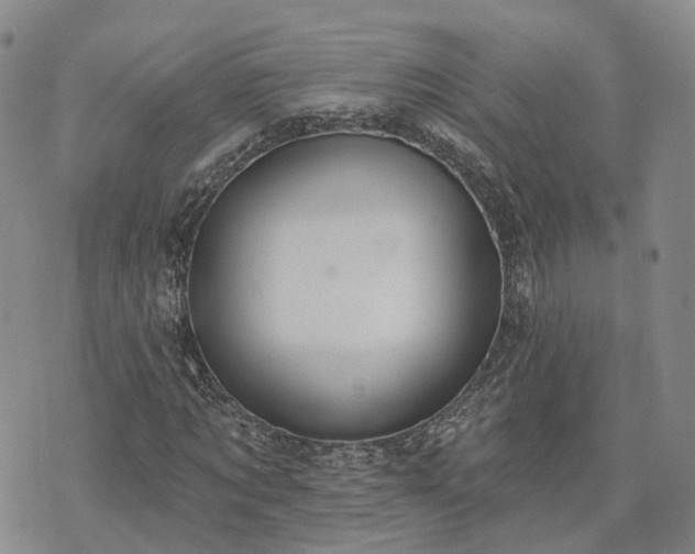 X0000074320869200609011535