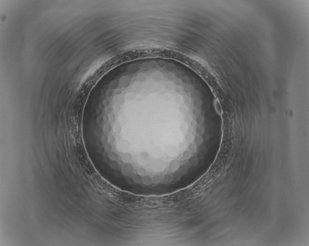 X0000074320871200609011535