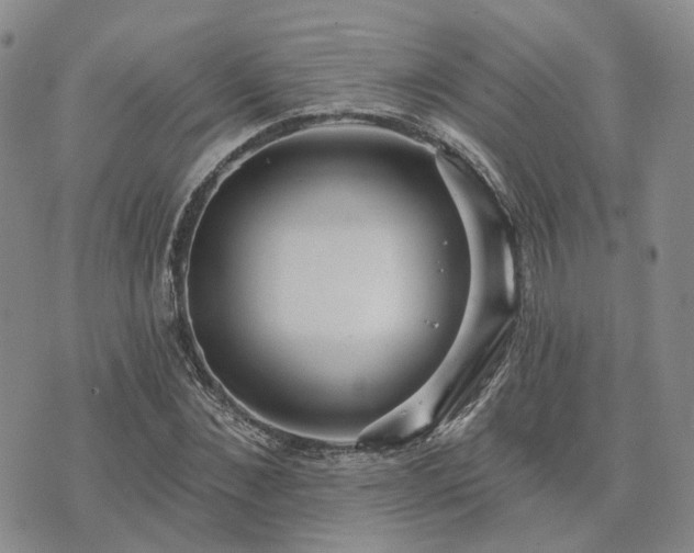 X0000074320876200609011535