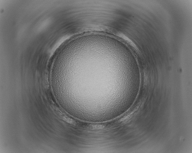 X0000074320878200609011535