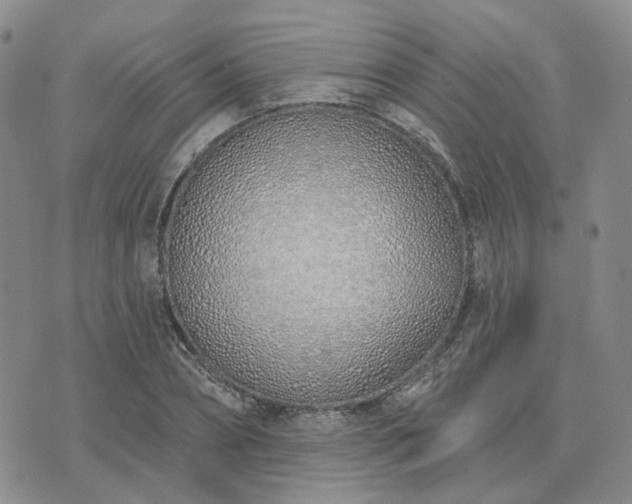 X0000074320882200609011535