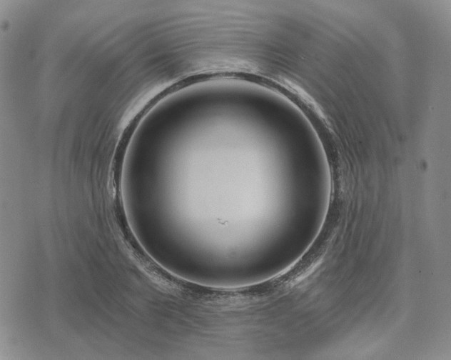 X0000074320885200609011535