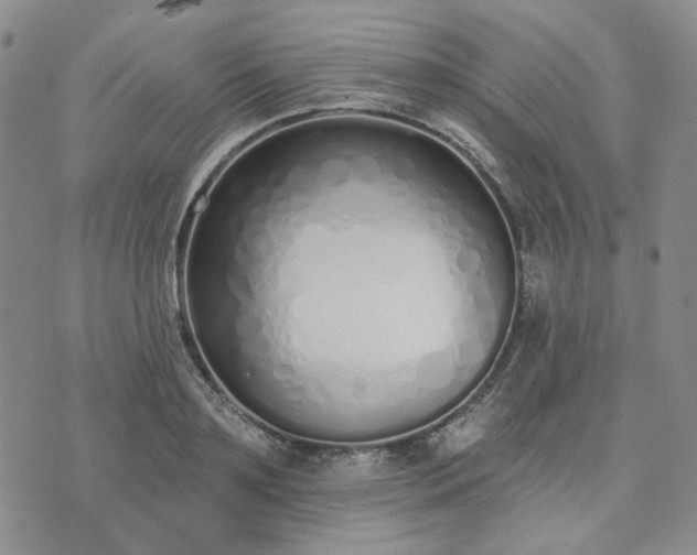 X0000074320891200609011535