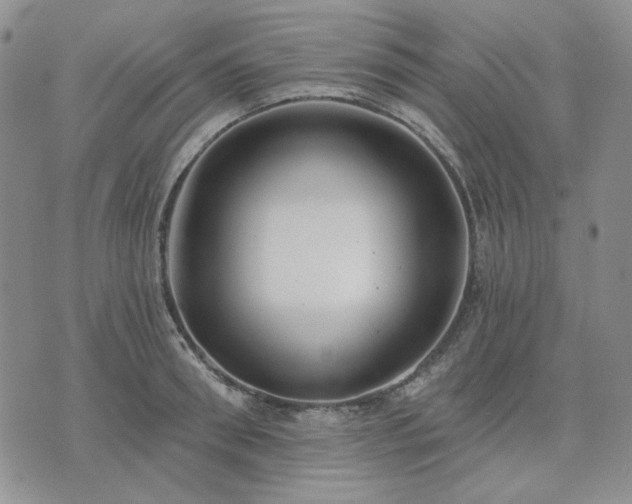 X0000074320898200609011534