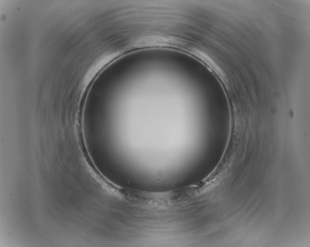 X0000074320901200609011534
