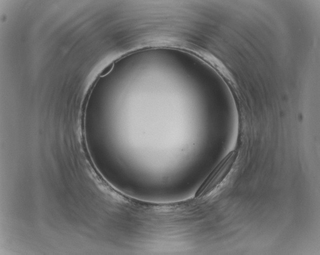 X0000074320904200609011534