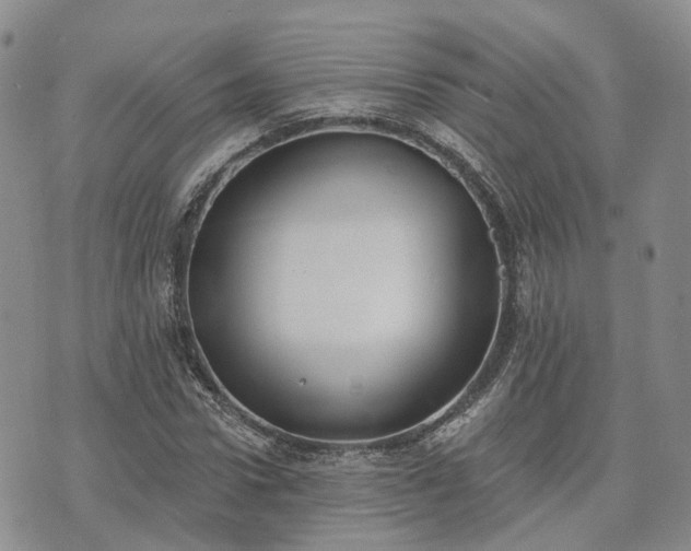 X0000074320922200609011534