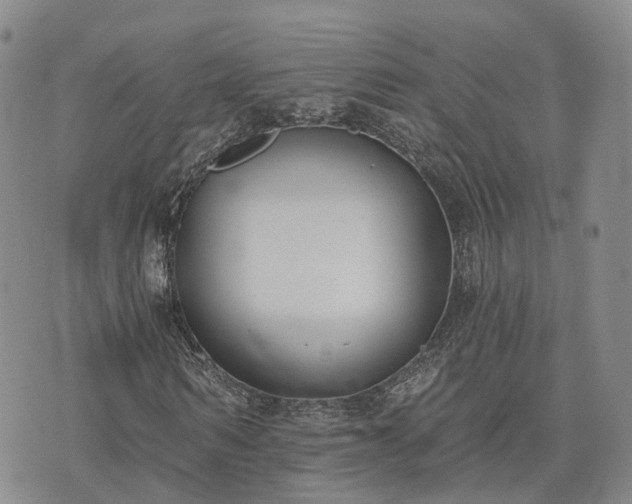 X0000074320962200609011533