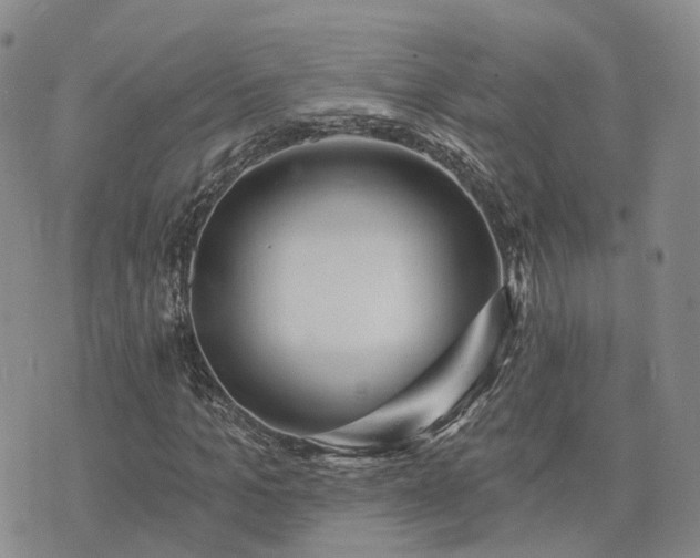 X0000074320965200609011533