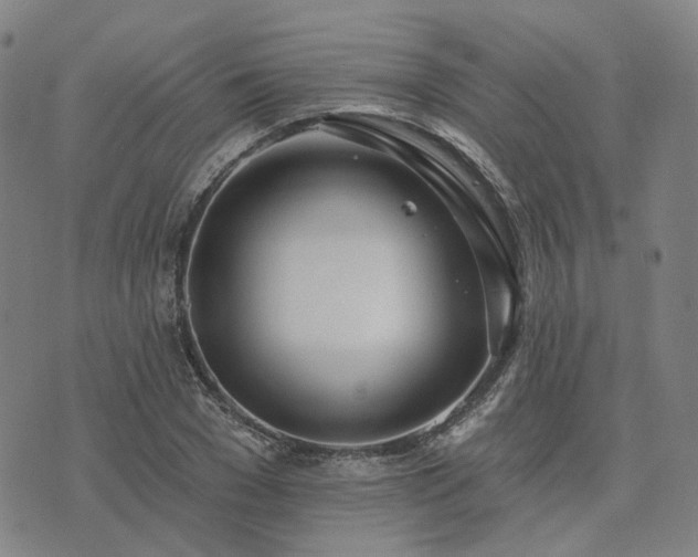 X0000074320977200609011533