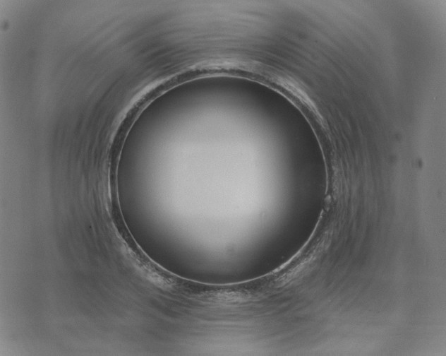 X0000074320984200609011533