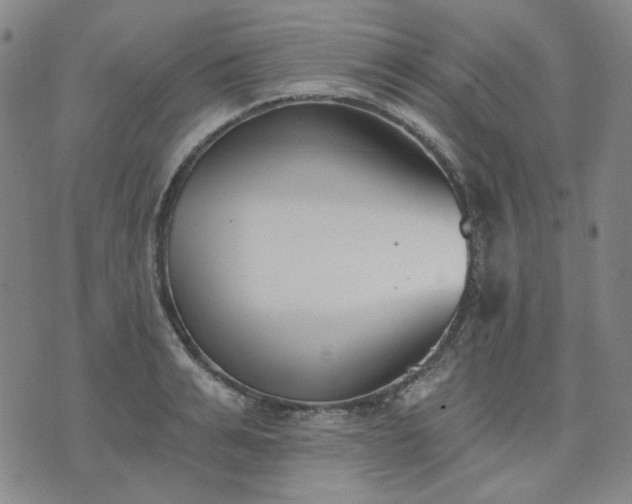 X0000074320991200609011533