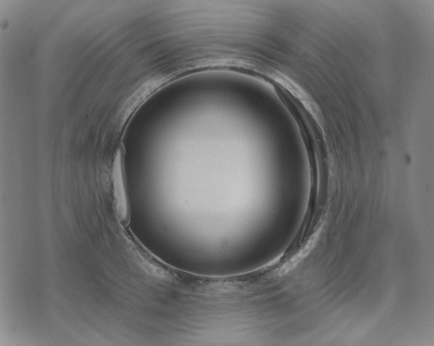 X0000074320993200609011533