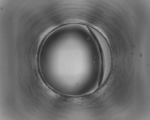 X0000074320995200609011533