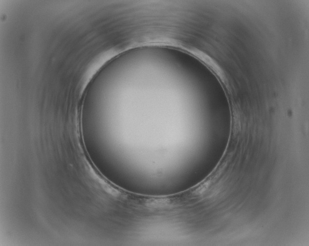 X0000074321006200609011533