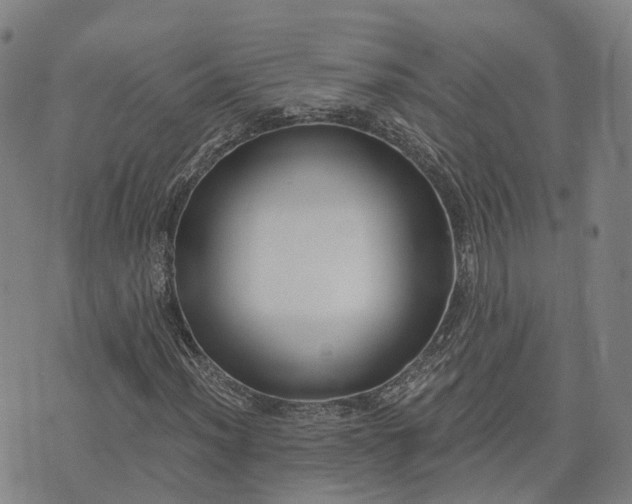 X0000074321012200609011532