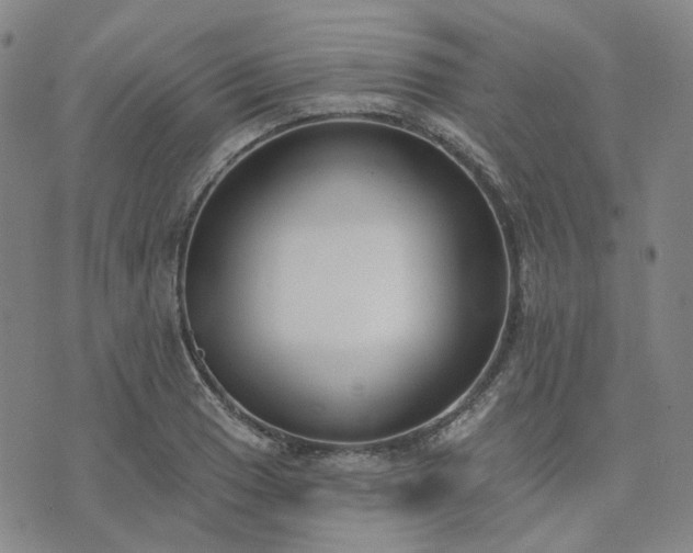X0000074321033200609011532