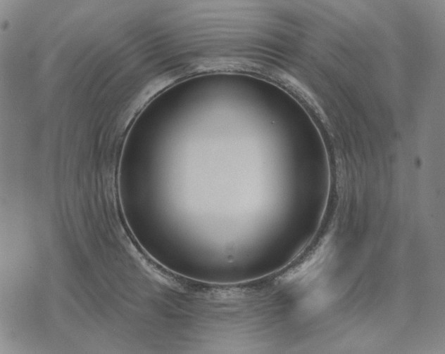 X0000074321041200609011532