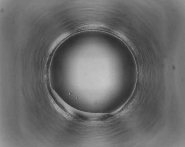 X0000074321042200609011532