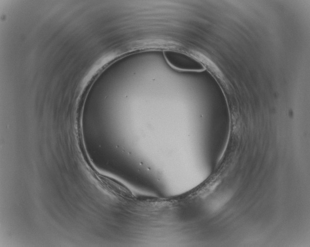 X0000074321043200609011532