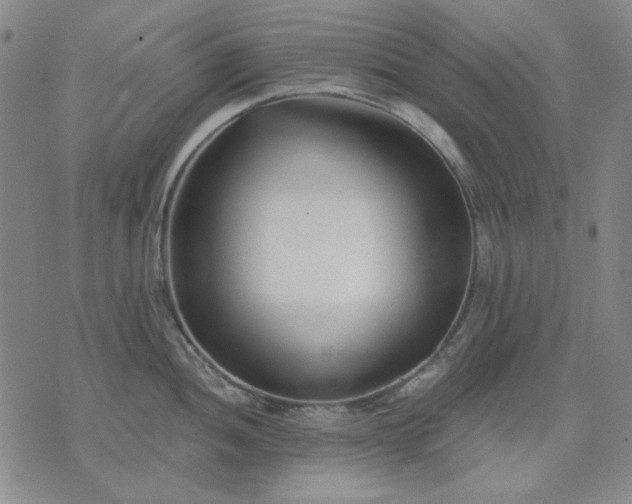 X0000074321052200609011533