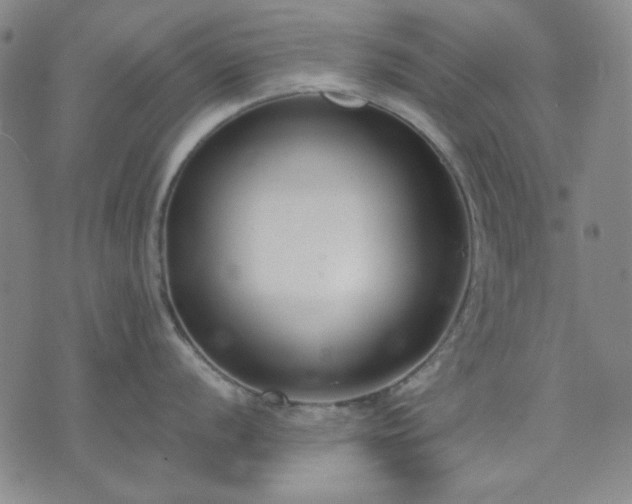 X0000074321056200609011533