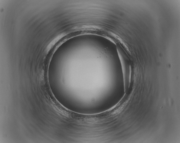 X0000074321066200609011532