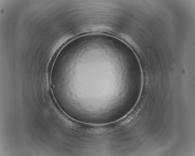 X0000074321079200609011531