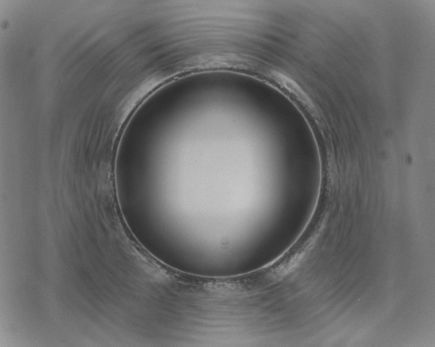 X0000074321089200609011531