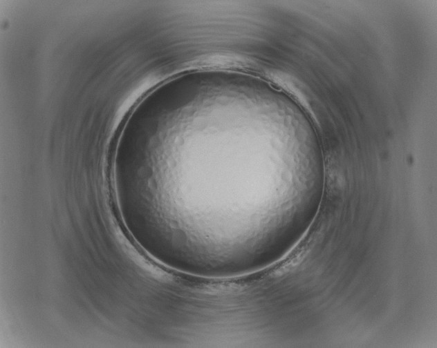 X0000074321091200609011531