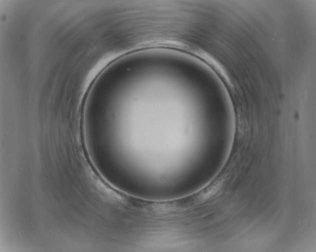 X0000074321102200609011531