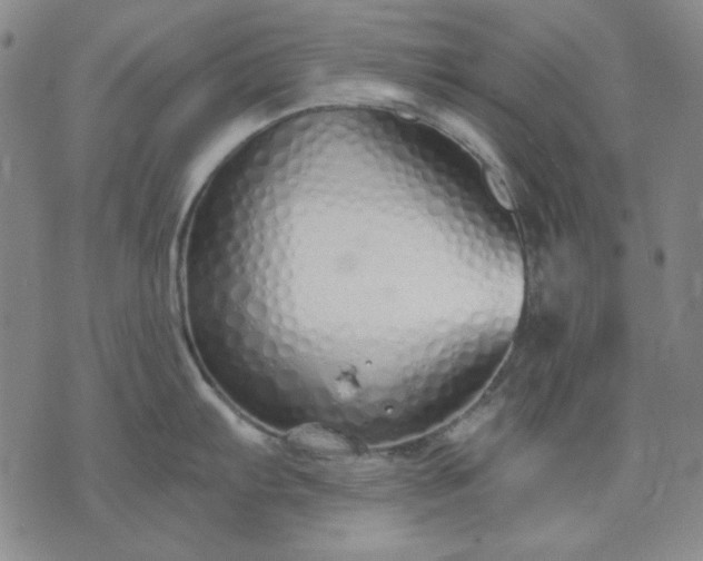 X0000074321103200609011531