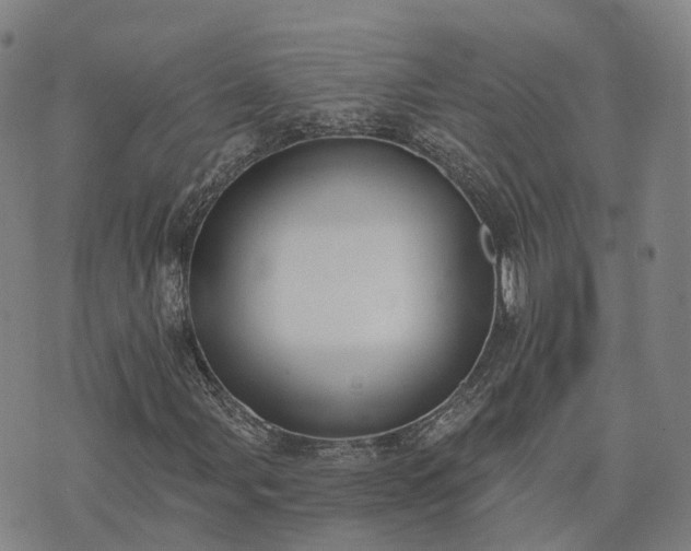 X0000074321107200609011530