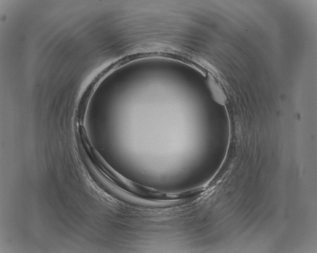 X0000074321120200609011530