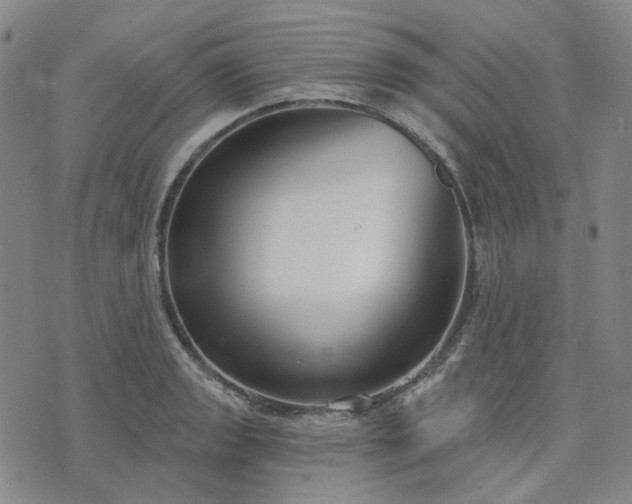 X0000074321133200609011531