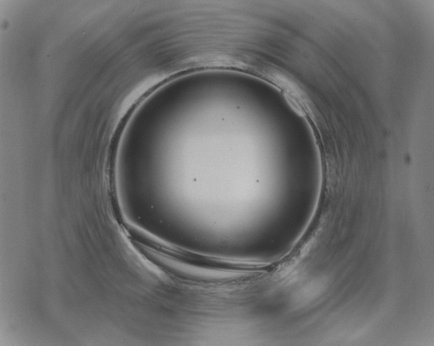 X0000074321141200609011531