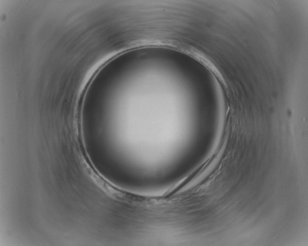 X0000074321148200609011531