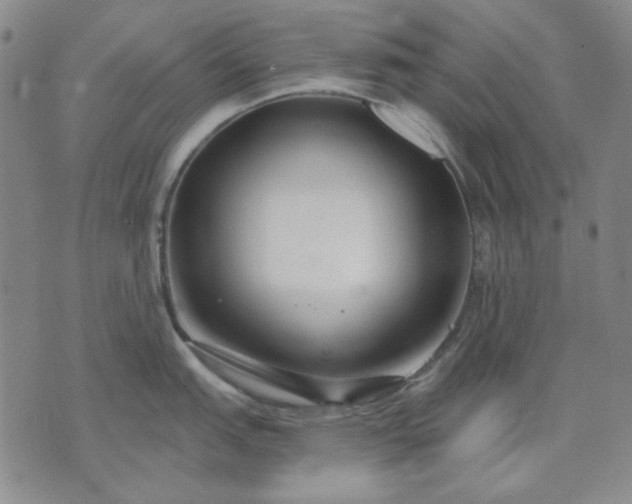 X0000074321151200609011531