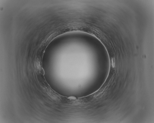 X0000074321155200609011530